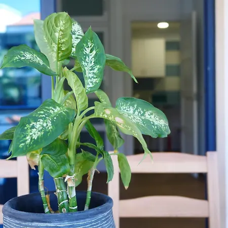 Lägenhet Tuerkiz Kanaan